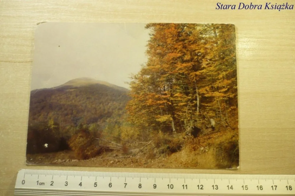 BIESZCZADY. WIDOK NA TARNICĘ FOT. M. RACZKOWSKI Dodaj do koszyka