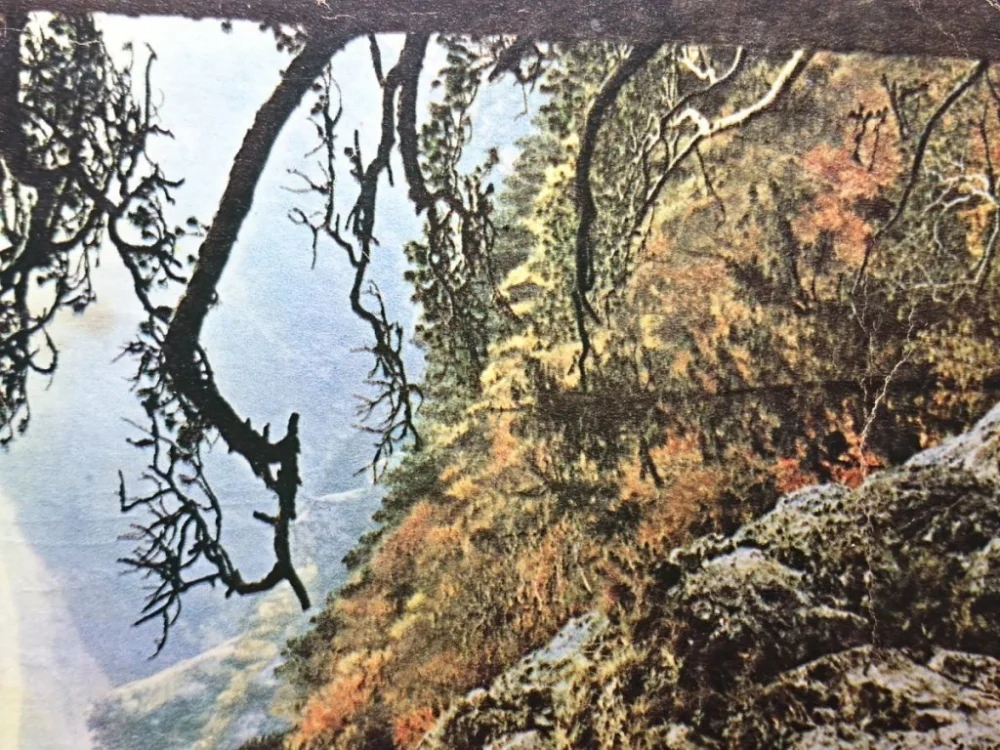 Premium PIENINY. SOKOLICA 747 m FOT. T. BILIŃSKI
