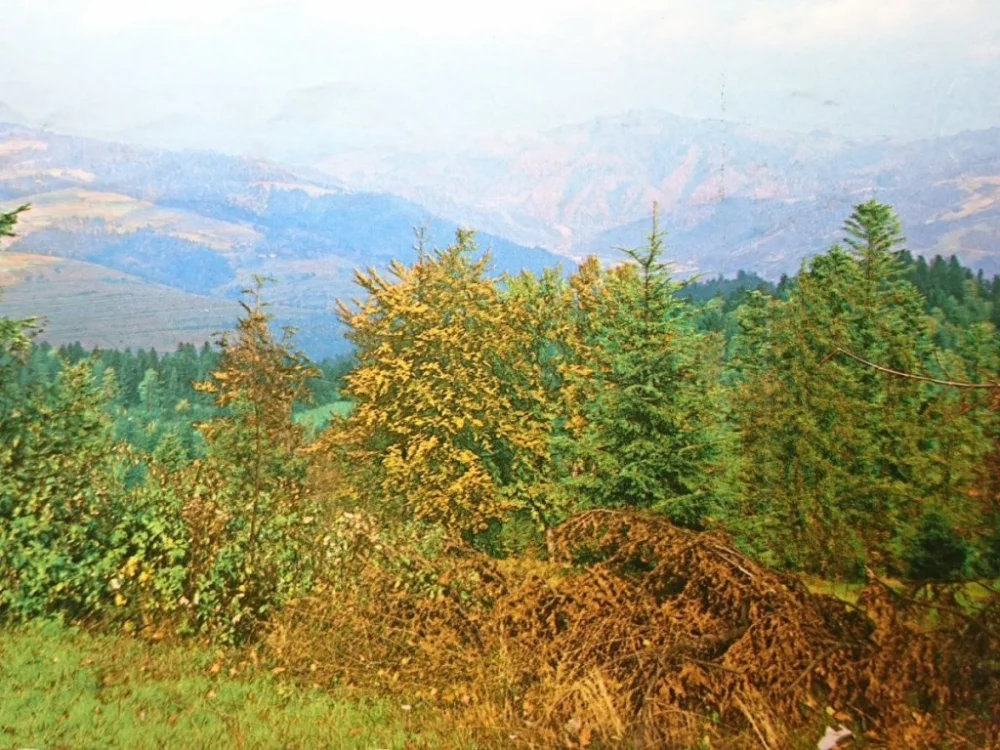Kup teraz PIENINY. KRAJOBRAZ FOT. M. RACZKOWSKI