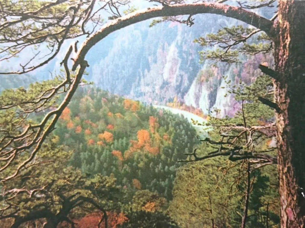 PIENINY. PRZEŁOM DUNAJCA FOT. BILIŃSKI Cena promocyjna