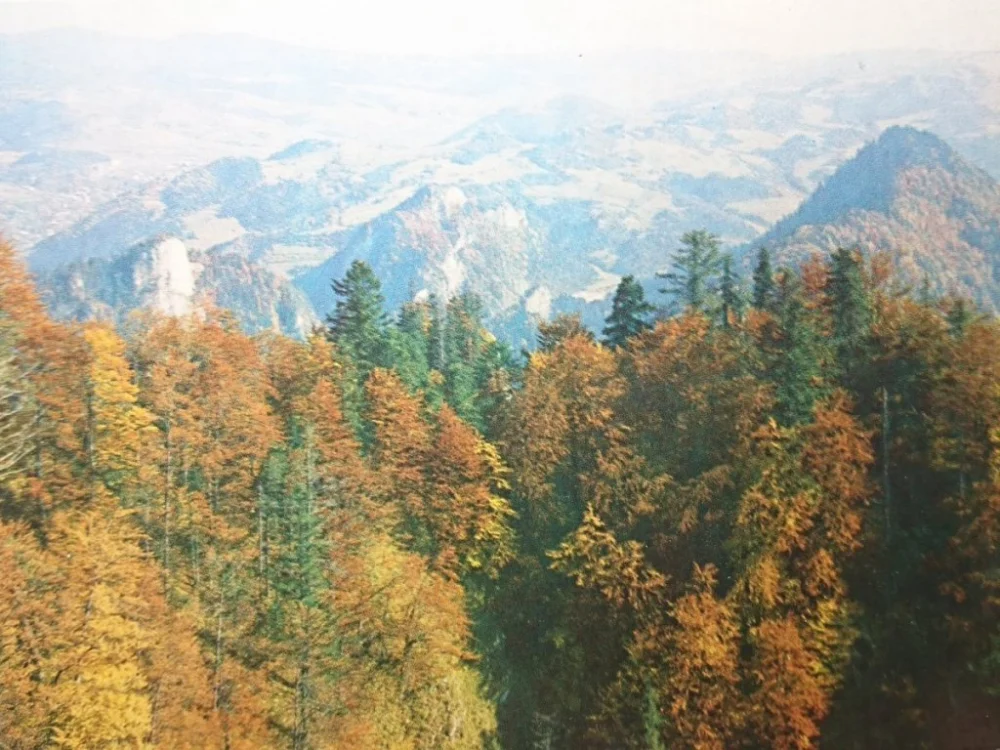 PIENINY. WIDOK Z TRZECH KORON... FOT. RACZKOWSKI Niska cena