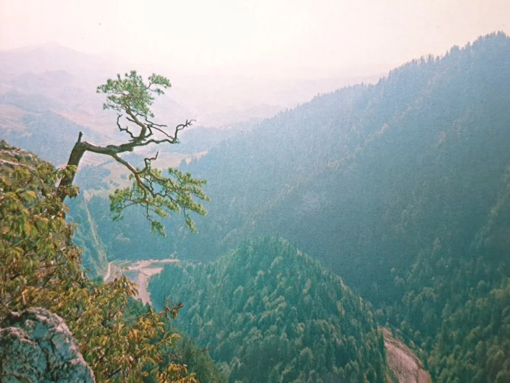 PIENINY PRZEŁOM DUNAJCA POD SOKOLICĄ FOT OLSZEWSKI Nowość