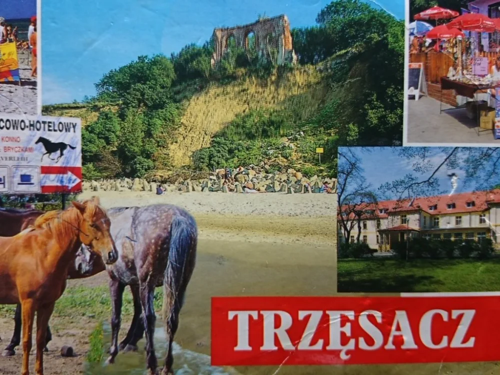 TRZĘSACZ FOT. K. KAMIŃSKI, G. KOPERKIEWICZ Sprawdź teraz