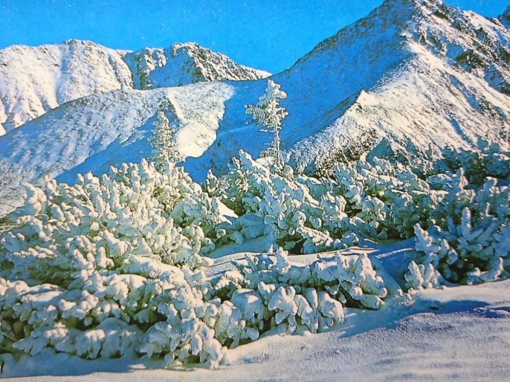 Zamów dziś TATRY - WIDOK Z HALI KRÓLOWEJ NA ŻÓŁTĄ...FOT MOMOT