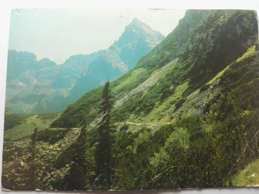 TATRY WYSOKIE. TRAWERS POD MAŁYM... FOT. ZALESKI Rabat