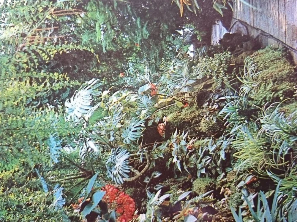Niska cena LUBIECHÓW. PALMIARNIA FOT. J. KORPAL