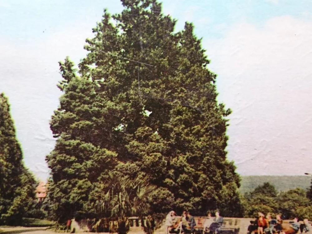 ŚWIERADÓW ZDRÓJ. PARK ZDROJOWY FOT. P. KRASSOWSKI Do wyczerpania zapasów
