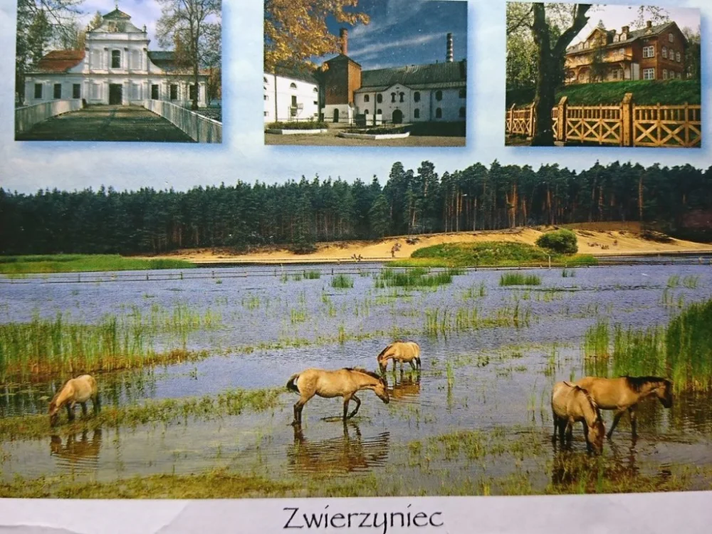 Obniżka ceny ZWIERZYNIEC. BAROKOWY KOŚCIÓŁEK... FOT. W. LIPIEC