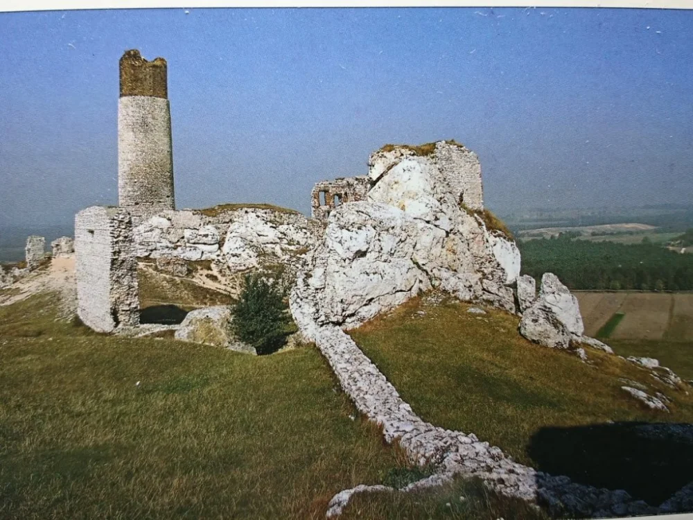 JURA KRAKOWSKO-CZĘSTOCHOSKA OLSZTYN FOT PRAŻMOWSKI Łatwy zwrot