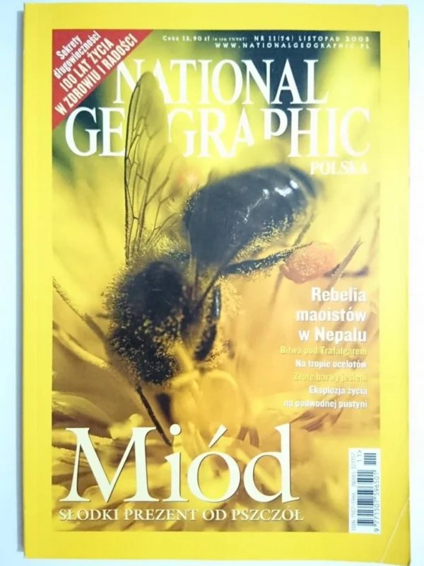 NATIONAL GEOGRAPHIC POLSKA 11-2005 Niska cena