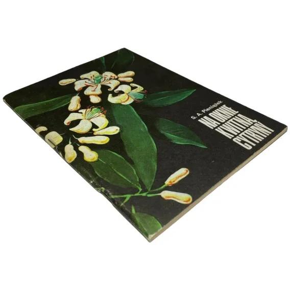 Oferta limitowana Na oknie kwitną cytryny Szczepan A. Pieniążek