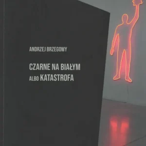 Andrzej Brzegowy Czarne na białym albo katastrofa część wystawy Z lotu ptaka Tylko dziś