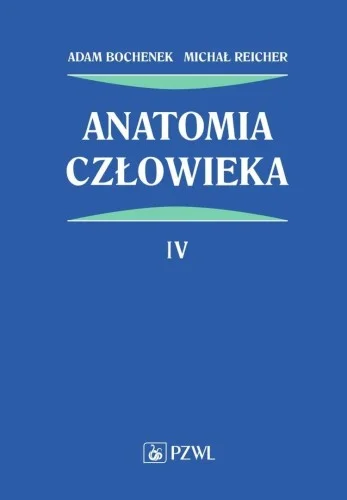 ANATOMIA CZŁOWIEKA T.4 Oferta limitowana