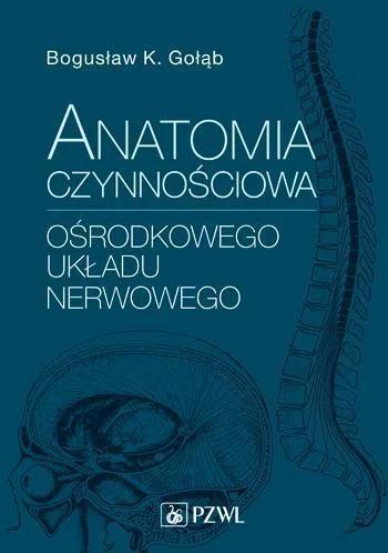 Hit sprzedaży ANATOMIA CZYNNOśCIOWA OśRODKOWEGO UKŁADU NERWOWEGO