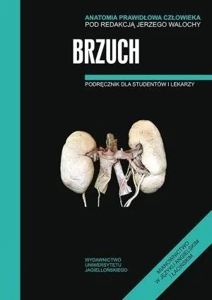ANATOMIA PRAWIDŁOWA CZŁOWIEKA. BRZUCH Oferta