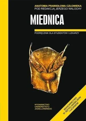 Nowy ANATOMIA PRAWIDŁOWA CZŁOWIEKA. MIEDNICA