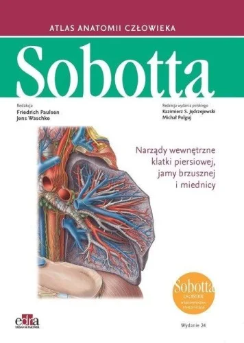 ATLAS ANATOMII CZŁOWIEKA SOBOTTA ŁACIN. T.2 Popularny