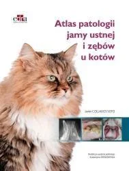ATLAS PATOLOGII JAMY USTNEJ I ZĘBW U KOTW Tylko do końca tygodnia