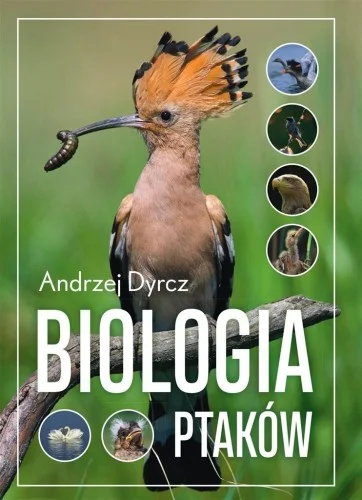 BIOLOGIA PTAKW, ANDRZEJ DYRCZ Oferta czasowa