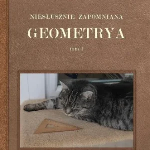 Ograniczona ilość NIESŁUSZNIE ZAPOMNIANA GEOMETRYA T.1