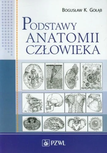 PODSTAWY ANATOMII CZŁOWIEKA. PODR. DLA STUDENTW Wyjątkowa oferta