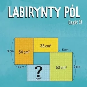 LABIRYNTY PL CZ.2, NAOKI INABA, RYOICHI MURAKAMI Bezpieczne zakupy